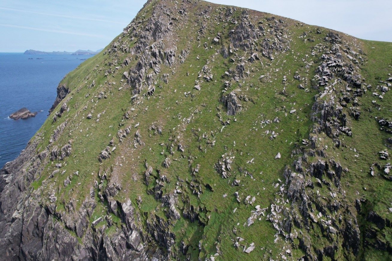 Baseline biodiversity studies for Irish heritage sites