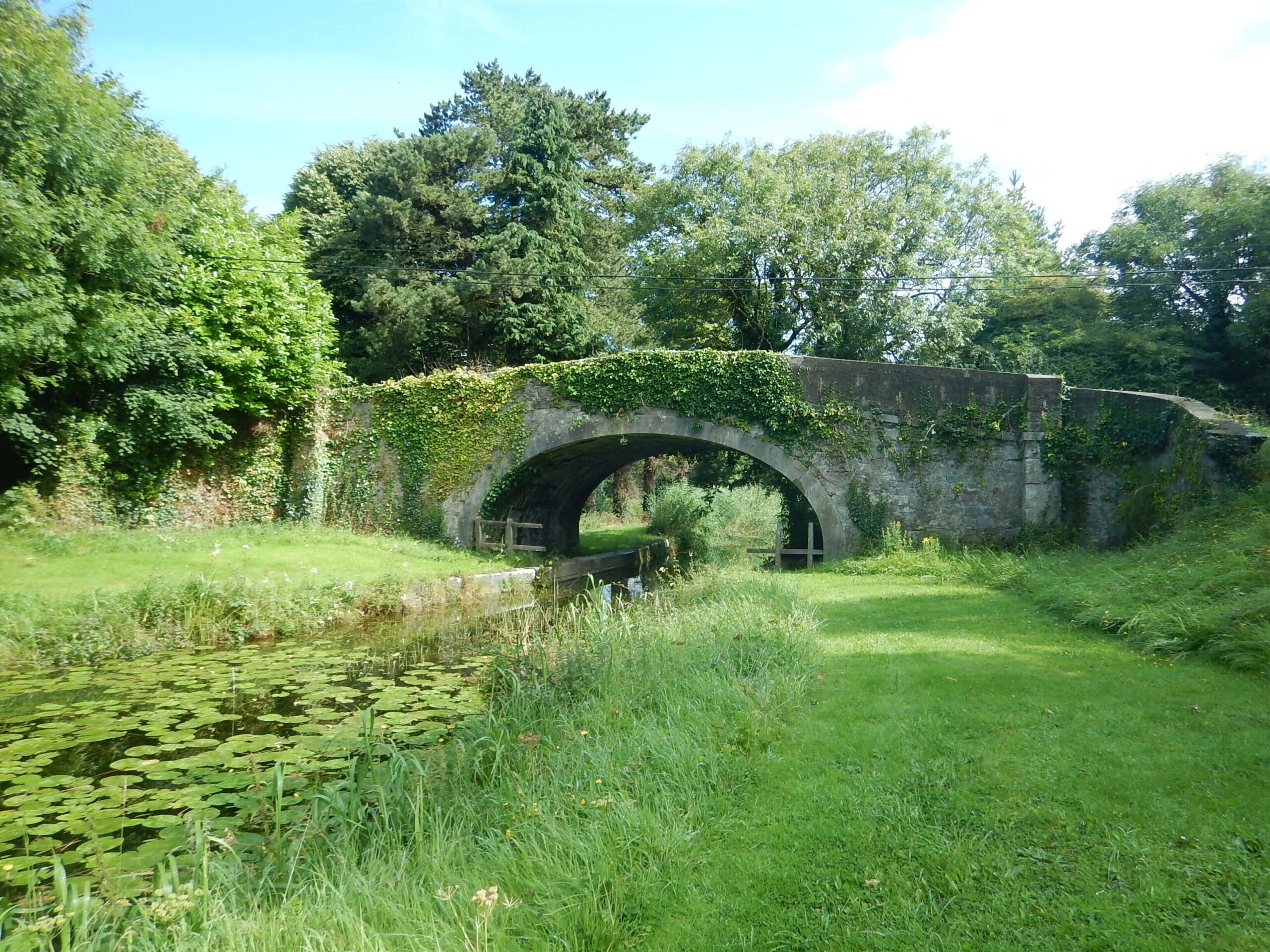 Corbally Canal and Liffey Corridor enhancement feasibility study  
