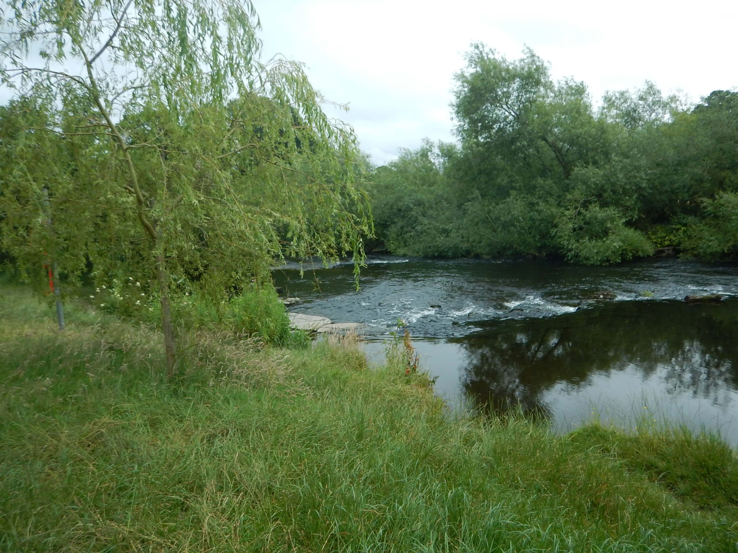 Liffey Valley Park: Enhancing access and recreation whilst protecting habitats and heritage 